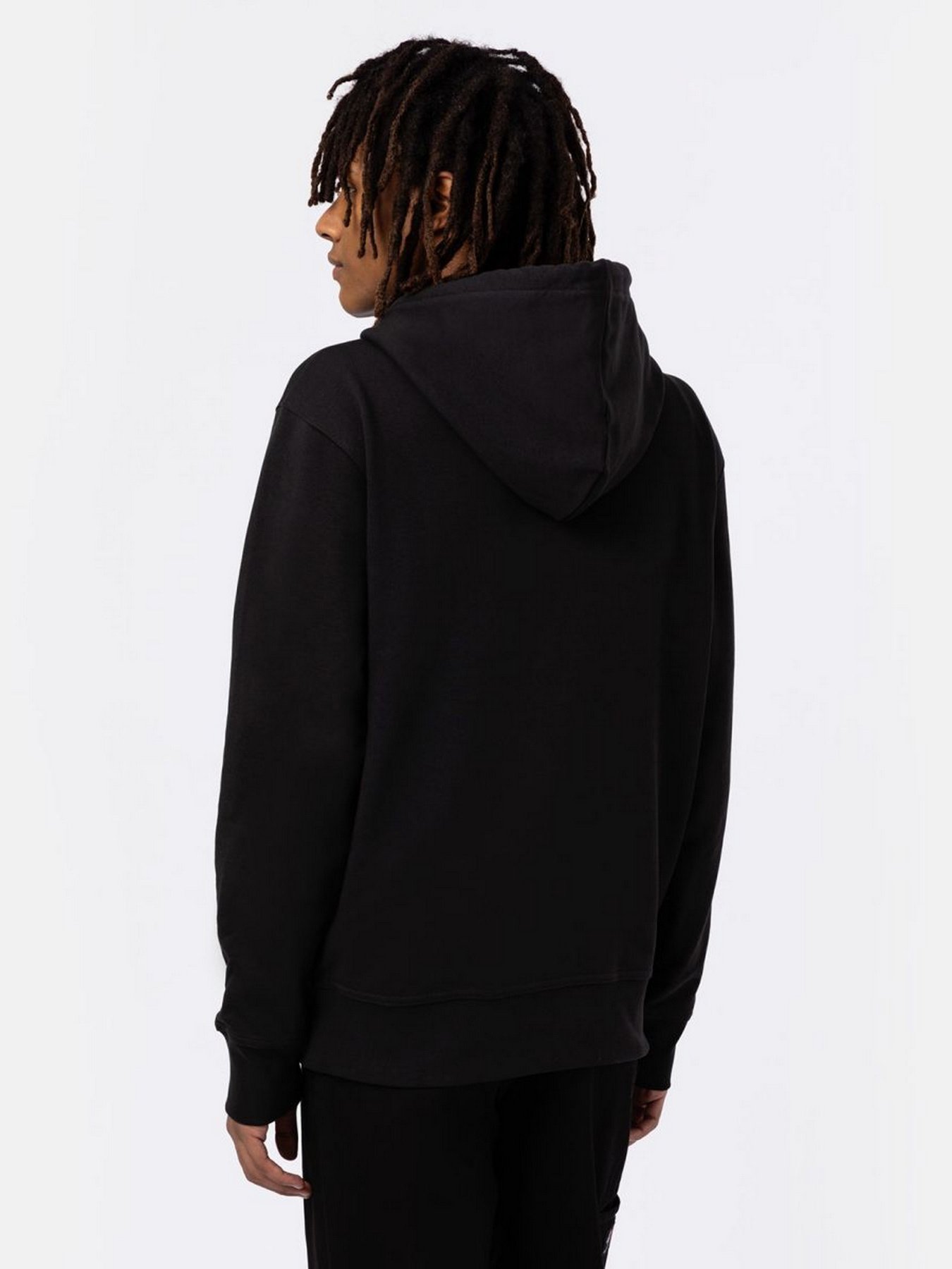 Худи и свитшоты Dickies Mount Vista модель DK0A4XYOBLK1 Худи и свитшоты Dickies Mount Vista модель DK0A4XYOBLK1 Фото