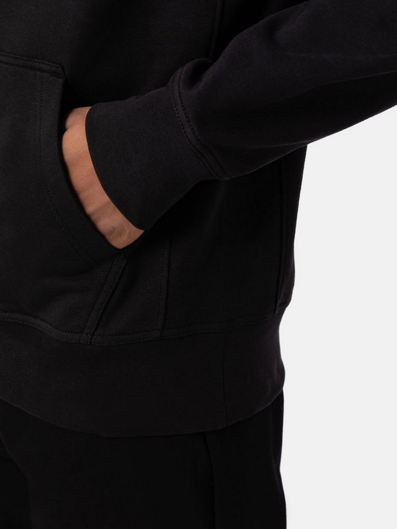 Худи и свитшоты Dickies Mount Vista модель DK0A4XYOBLK1 Худи и свитшоты Dickies Mount Vista модель DK0A4XYOBLK1 Фото