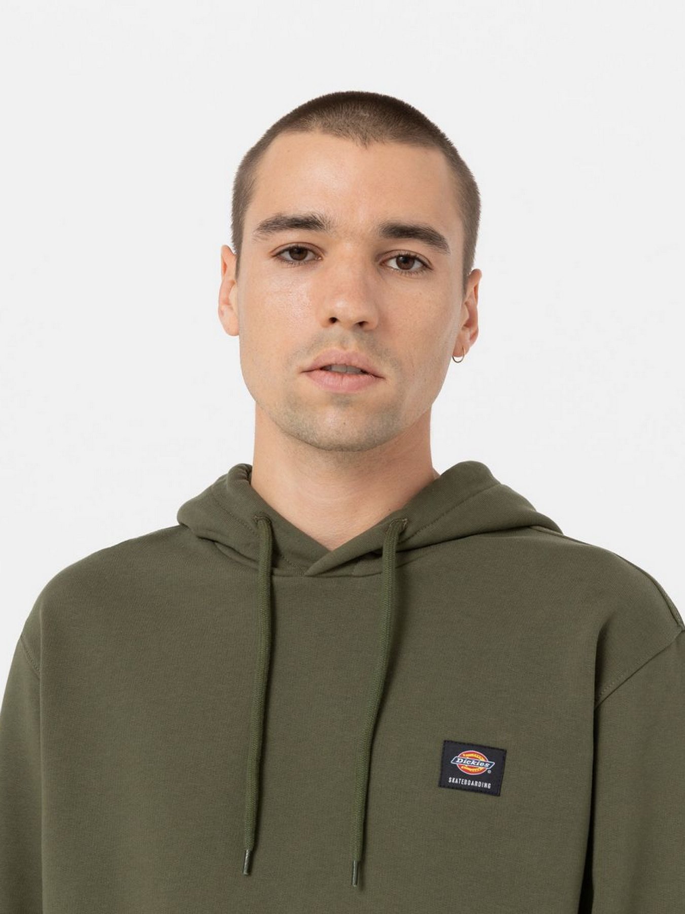 Худи и свитшоты Dickies Mount Vista модель DK0A4XYODKO1 Фото
