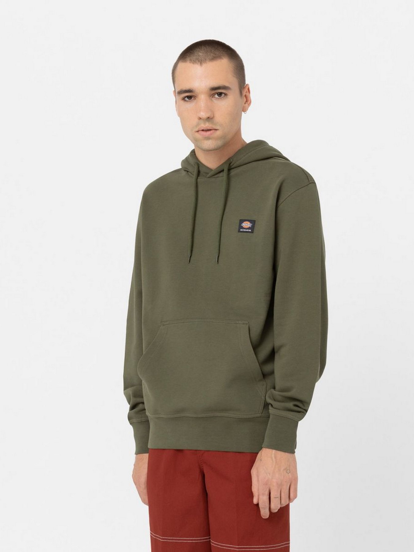 Худи и свитшоты Dickies Mount Vista модель DK0A4XYODKO1 Фото
