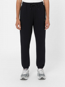 Брюки Dickies Mapleton Sweatpant модель DK0A4XIMBLK1 Фото