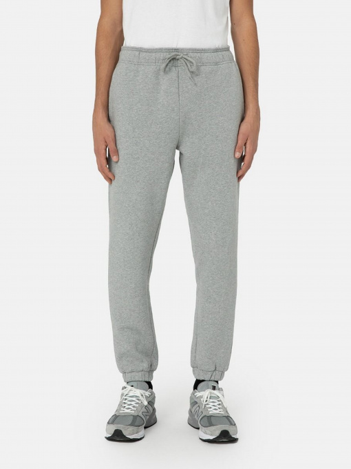 Брюки Dickies Mapleton модель DK0A4XIMGYM1 Фото