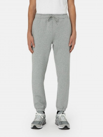 Брюки Dickies Mapleton модель DK0A4XIMGYM1 Фото
