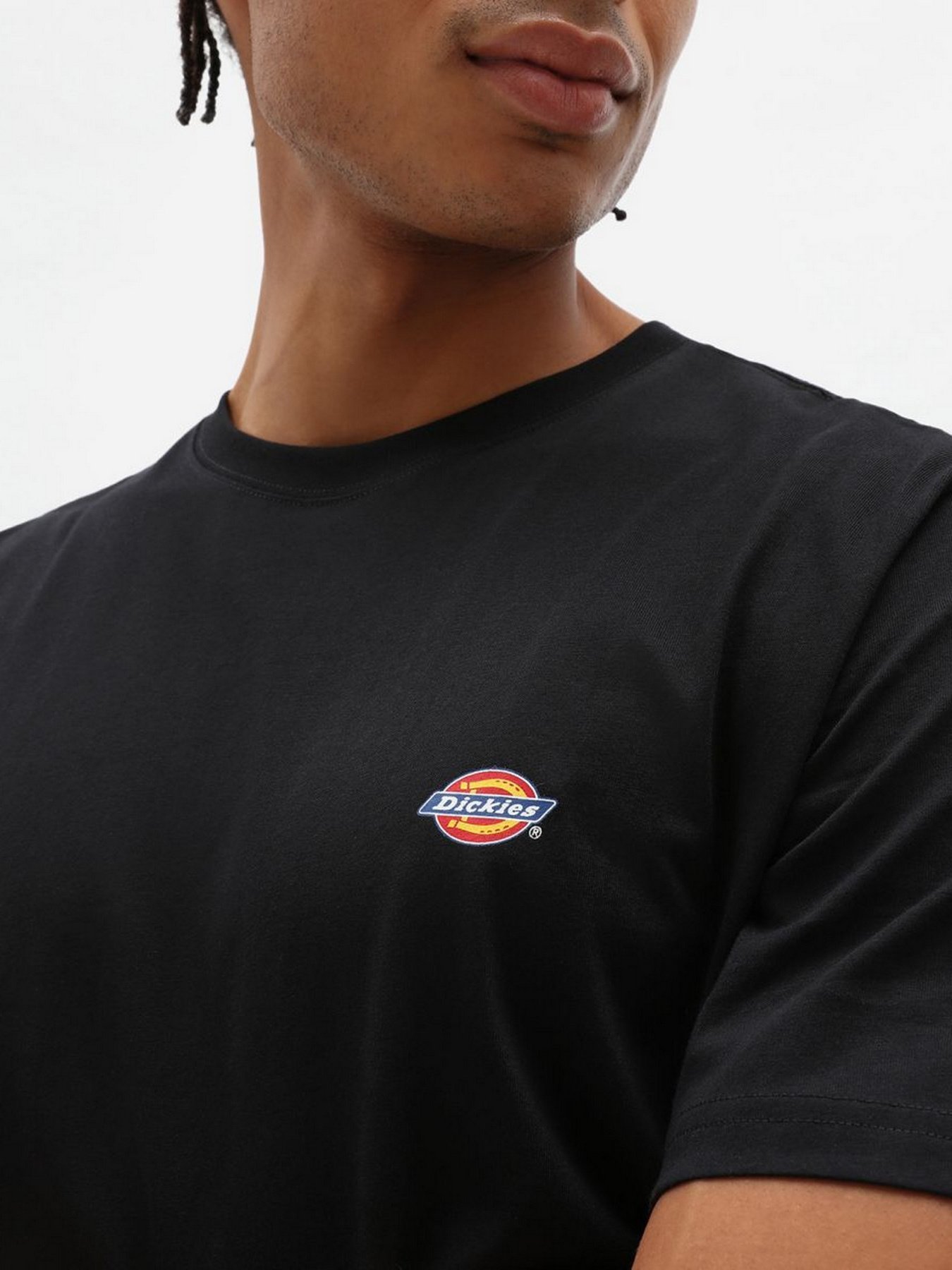 Футболки и поло Dickies SS Mapleton модель DK0A4XDBBLK1 Футболки и поло Dickies SS Mapleton модель DK0A4XDBBLK1 Фото