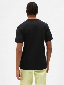 Футболки и поло Dickies SS Mapleton модель DK0A4XDBBLK1 Фото