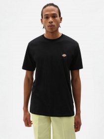 Футболки и поло Dickies SS Mapleton модель DK0A4XDBBLK1 Фото