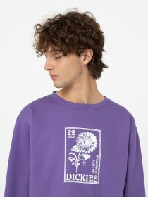 Худі та світшоти Dickies Garden Plain модель DK0A4YELF931 Фото