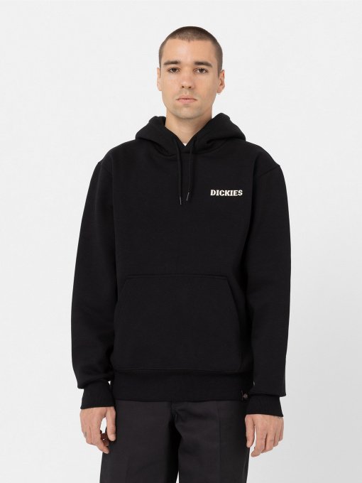 Худи и свитшоты Dickies Hays Cotton модель DK0A4YEOBLK1 Фото
