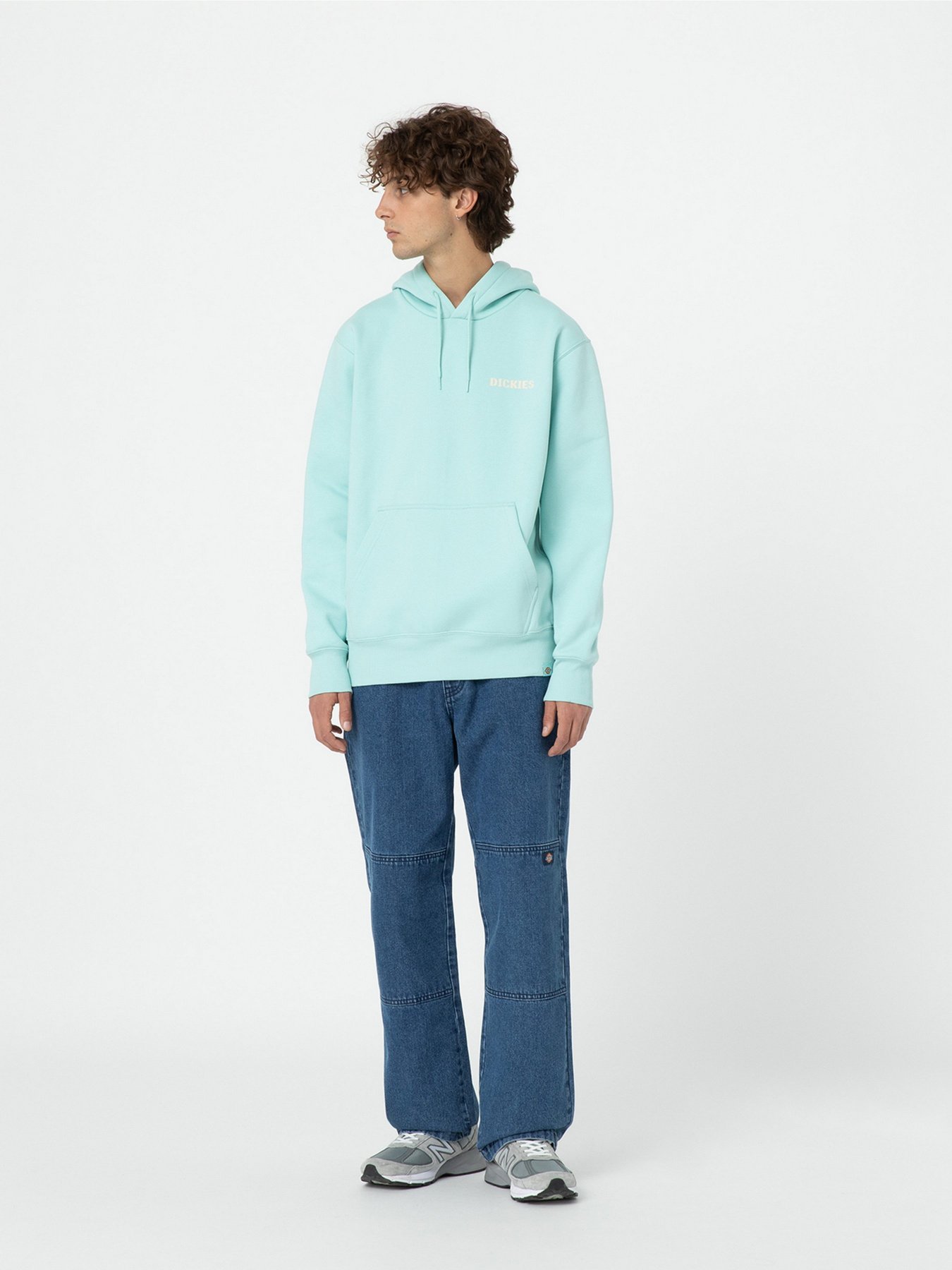 Худі та світшоти Dickies Hays модель DK0A4YEOG031 Фото