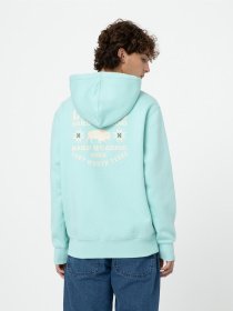 Худі та світшоти Dickies Hays модель DK0A4YEOG031 Фото