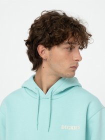 Худі та світшоти Dickies Hays модель DK0A4YEOG031 Фото