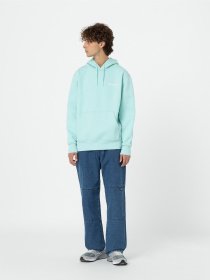 Худі та світшоти Dickies Hays модель DK0A4YEOG031 Фото