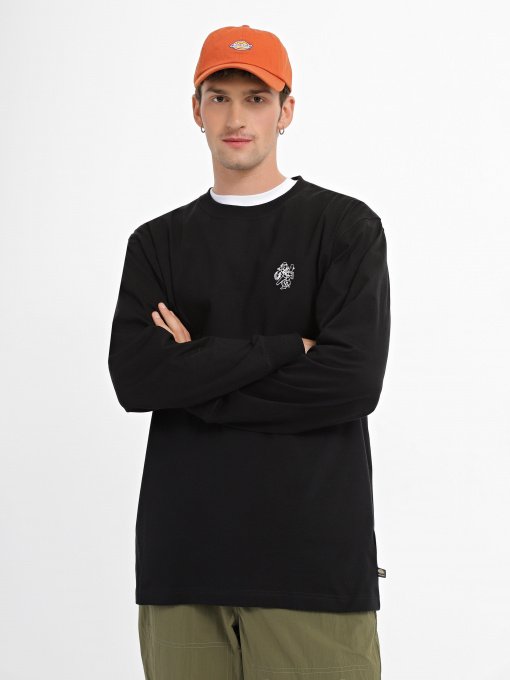 Худі та світшоти Dickies Scott City модель DK0A4YIXBLK1 Фото