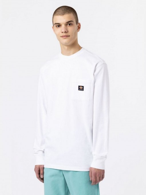Худі та світшоти Dickies Mount Vista Pocket модель DK0A4YJQWHX1 Фото