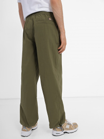 Штани Dickies Jackson модель DK0A4YLXMGR1 Фото