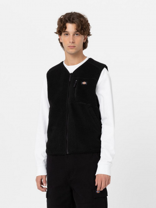 Куртки та дублянки Dickies Mount Hope модель DK0A4YEGBLK1 Фото