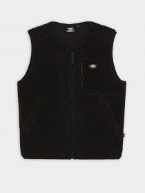 Куртки та дублянки Dickies Mount Hope модель DK0A4YEGBLK1 Фото