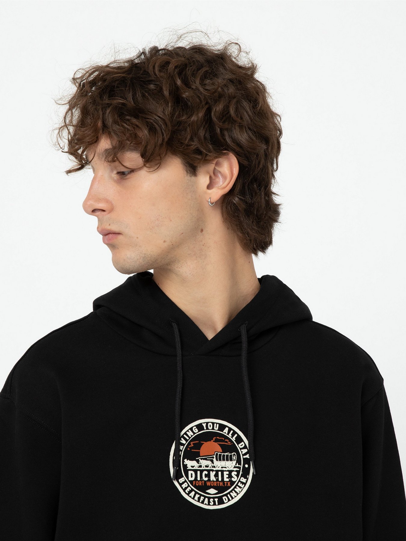 Худі та світшоти Dickies Greensburg модель DK0A4YEKBLK1 Фото