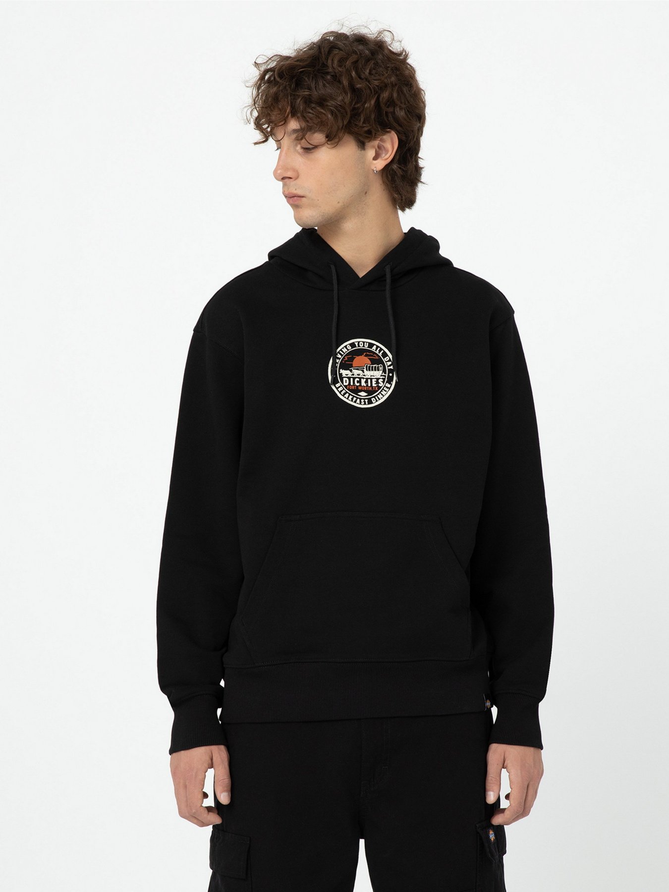 Худі та світшоти Dickies Greensburg модель DK0A4YEKBLK1 Фото