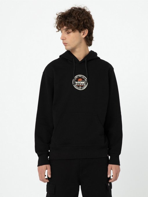 Худі та світшоти Dickies Greensburg модель DK0A4YEKBLK1 Фото