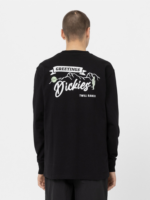 Худі та світшоти Dickies Dighton модель DK0A4YFFBLK1 Фото