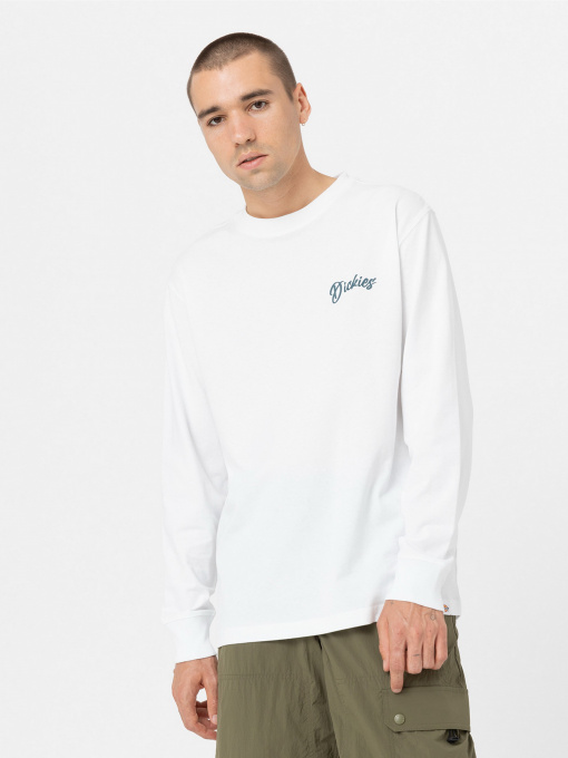 Худи и свитшоты Dickies Dighton модель DK0A4YFFWHX1 Фото