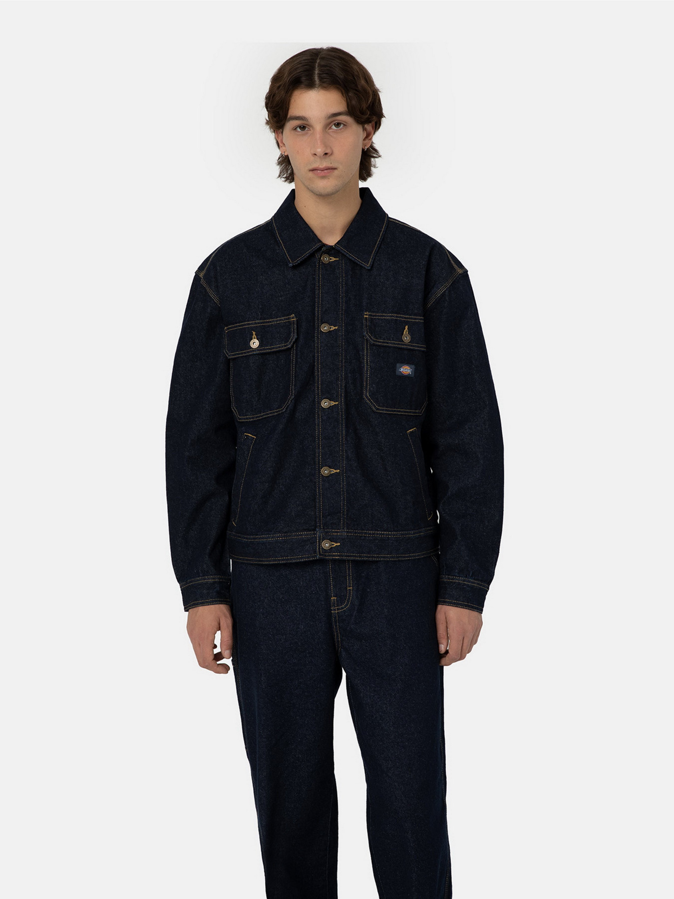Куртки та дублянки Dickies Madison модель DK0A4YERRIN1 Фото