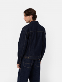 Куртки та дублянки Dickies Madison модель DK0A4YERRIN1 Фото