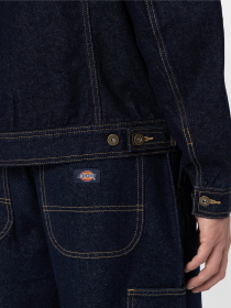 Куртки та дублянки Dickies Madison модель DK0A4YERRIN1 Фото