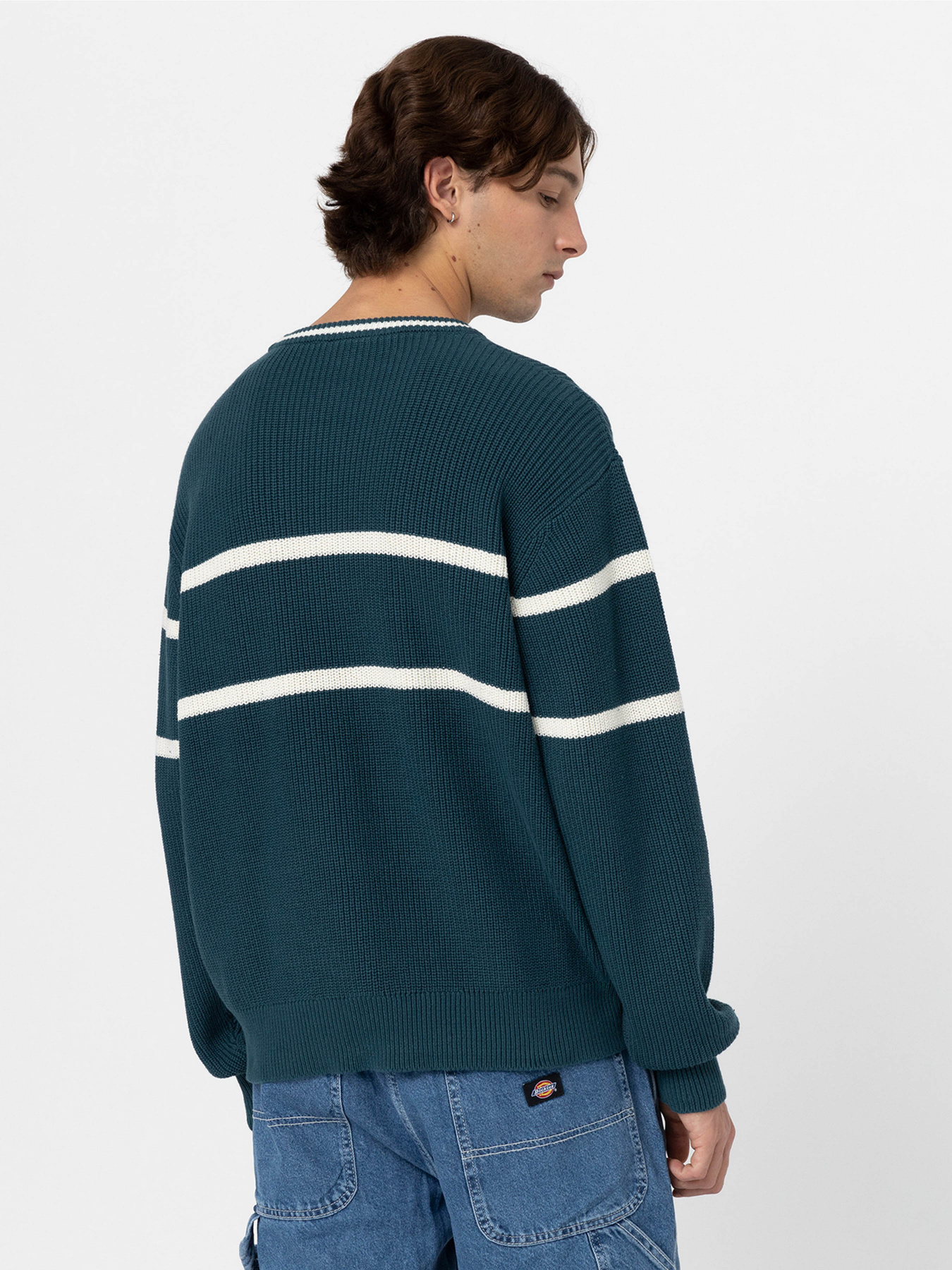 Светри та кардигани Dickies Melvern модель DK0A4YMCF971 Светри та кардигани Dickies Melvern модель DK0A4YMCF971 Фото