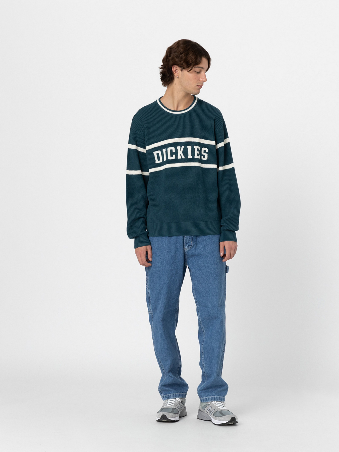 Светри та кардигани Dickies Melvern модель DK0A4YMCF971 Светри та кардигани Dickies Melvern модель DK0A4YMCF971 Фото