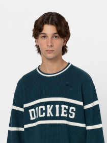 Светри та кардигани Dickies Melvern модель DK0A4YMCF971 Фото
