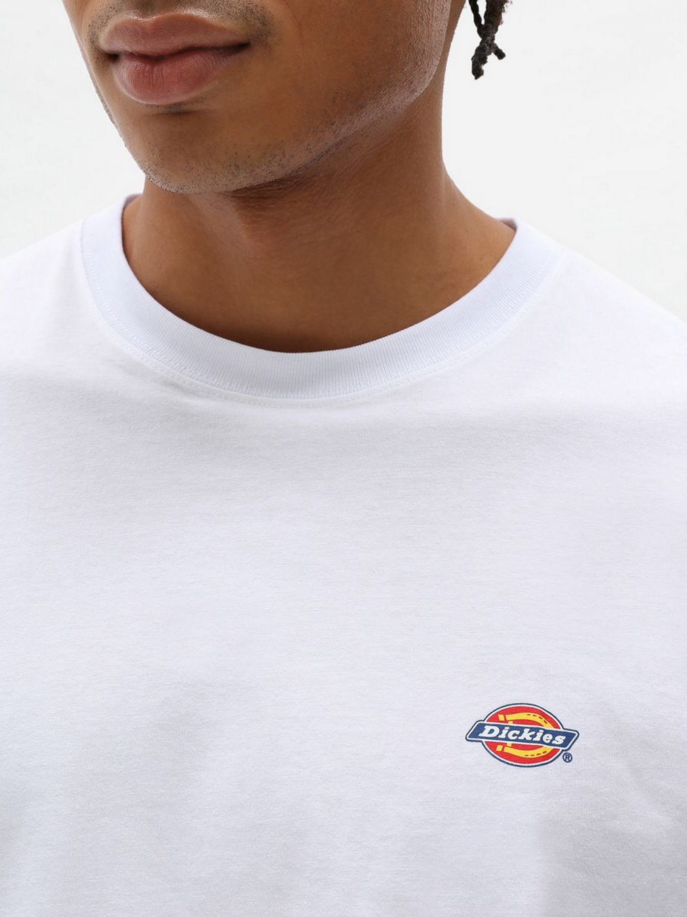 Футболки і поло Dickies SS Mapleton модель DK0A4XDBWHX1 Футболки і поло Dickies SS Mapleton модель DK0A4XDBWHX1 Фото