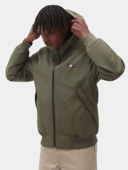 Куртки и дубленки Dickies Sarpy модель DK0A4XG8MGR1 Фото