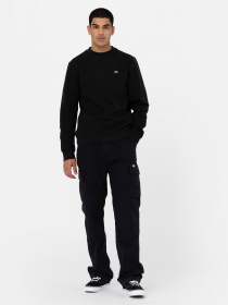 Штани Dickies Eagle Bend модель DK0A4X9XBLK1 Фото