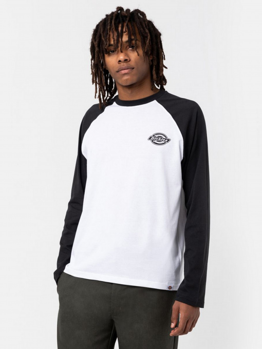 Худі та світшоти Dickies LS Cologne модель DK0A4XDFBLW1 Фото