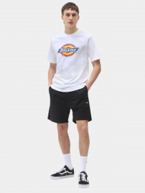 Шорты Dickies Pelican Rapids модель DK0A4XB2BLK1 Фото