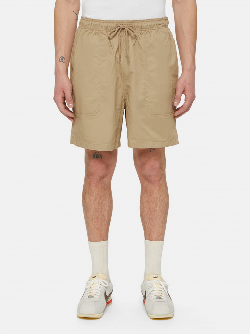 Шорти Dickies Pelican Rapids модель DK0A4XB2DS01 Фото