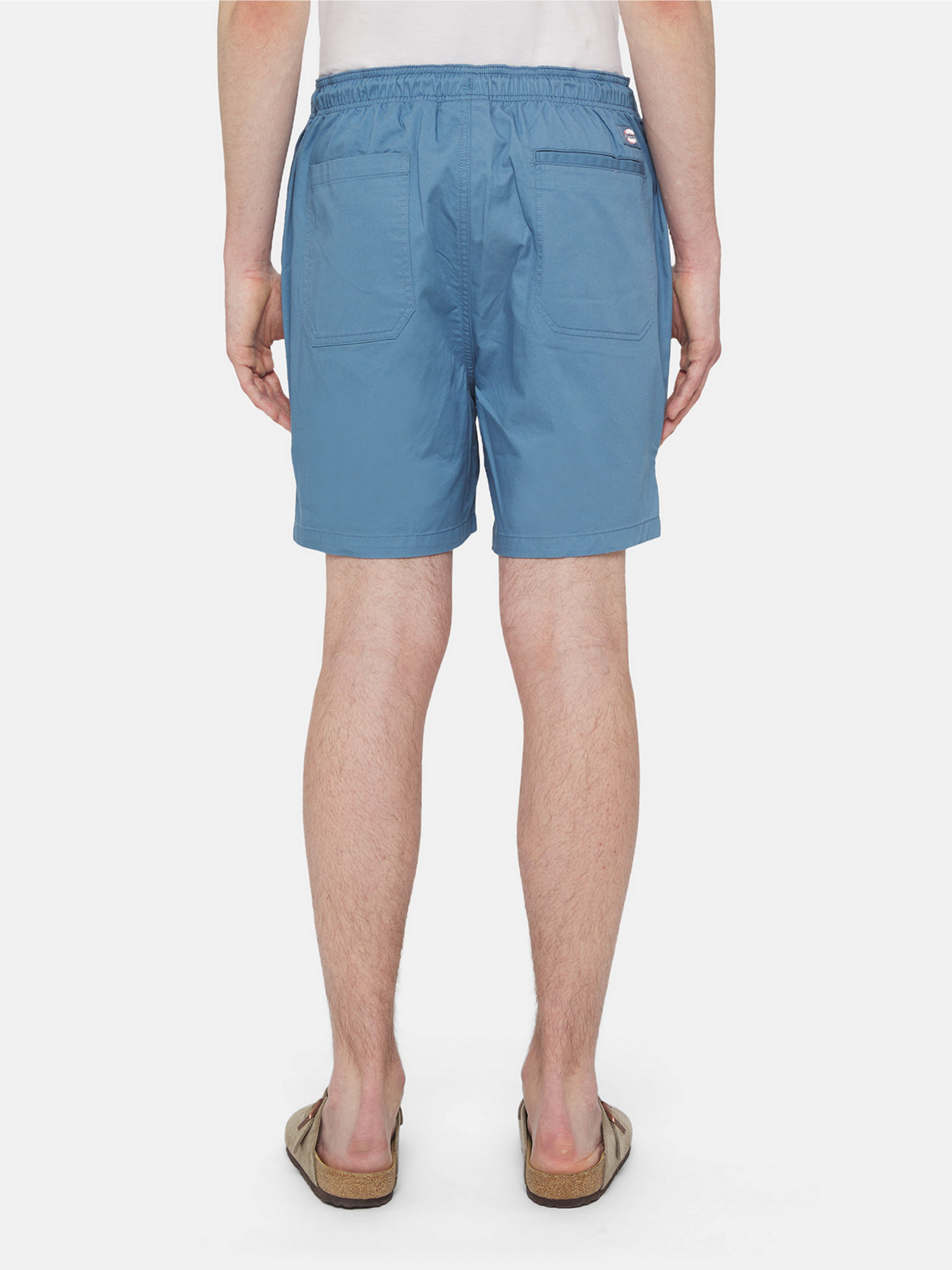 Шорти Dickies Pelican Rapids модель DK0A4XB2H171 Шорти Dickies Pelican Rapids модель DK0A4XB2H171 Фото