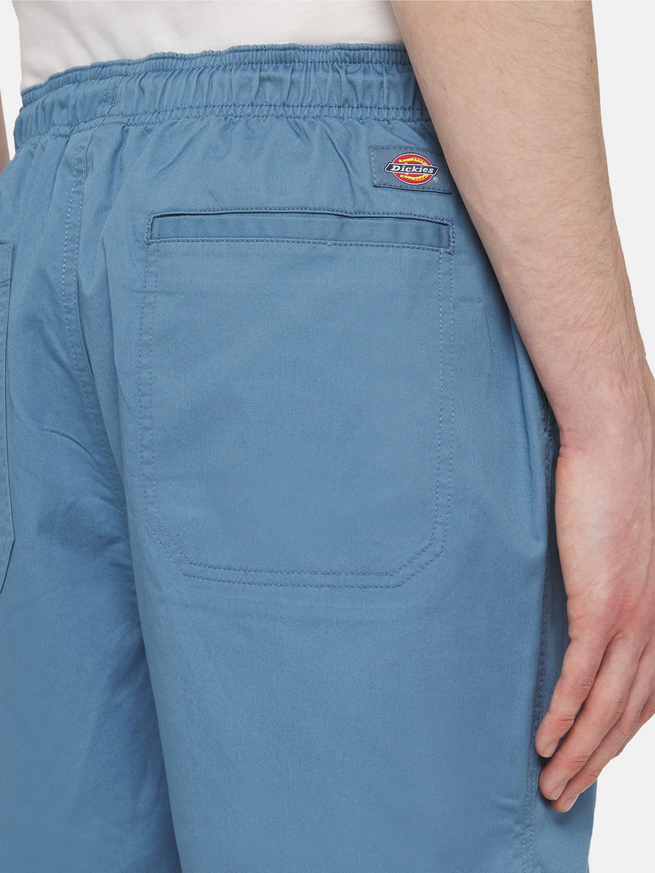 Шорти Dickies Pelican Rapids модель DK0A4XB2H171 Шорти Dickies Pelican Rapids модель DK0A4XB2H171 Фото
