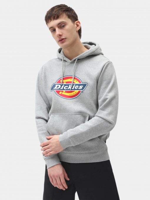 Худи и свитшоты Dickies Icon Logo модель DK0A4XCBGYM1 Фото