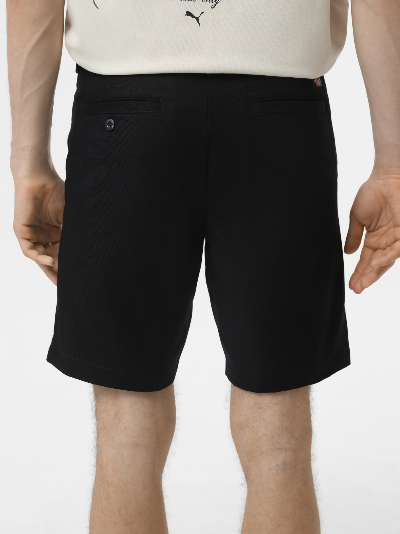 Шорти Dickies Cobden модель DK0A4XESBLK1 Фото