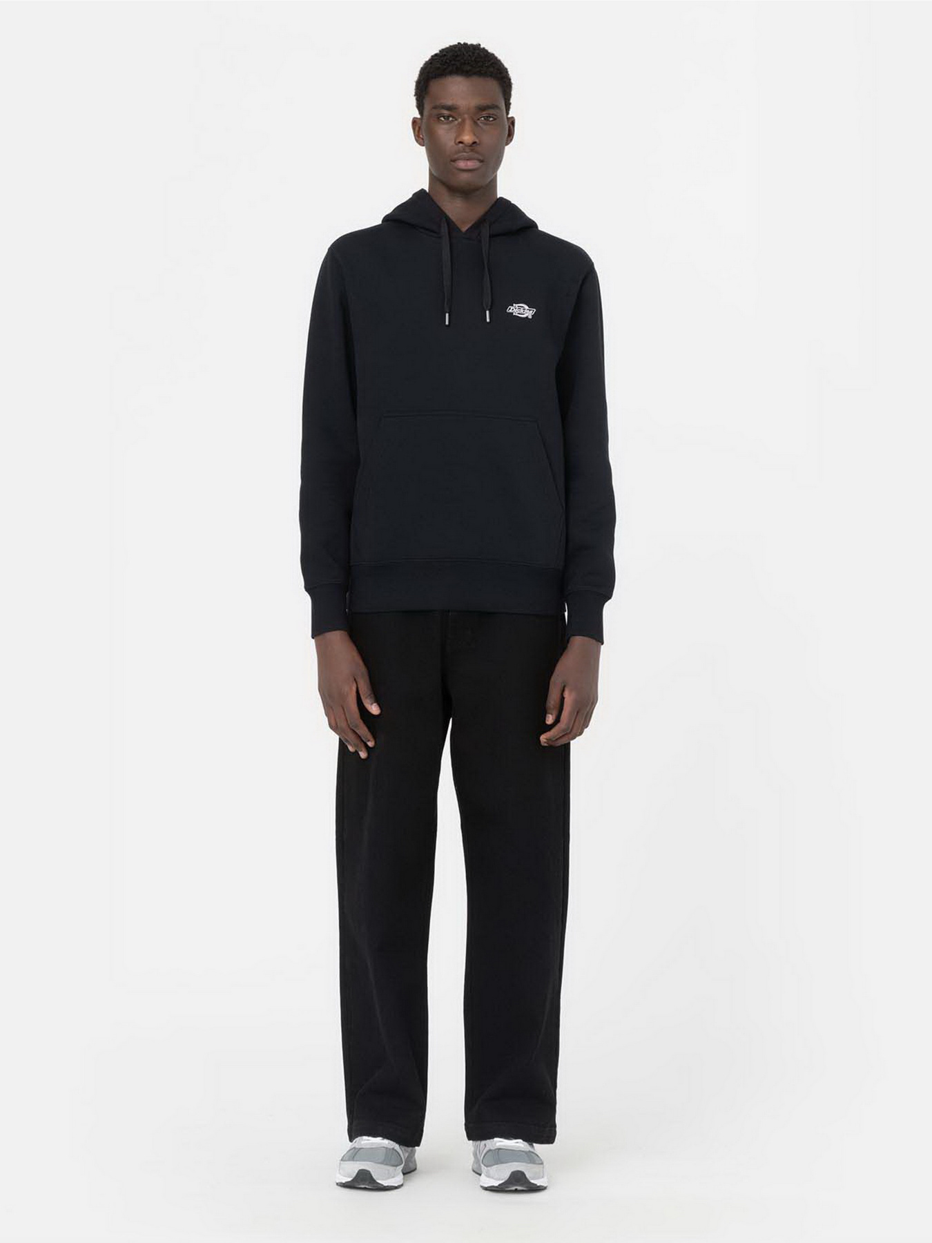 Худи и свитшоты Dickies Summerdale модель DK0A4Y6PBLK1 Худи и свитшоты Dickies Summerdale модель DK0A4Y6PBLK1 Фото