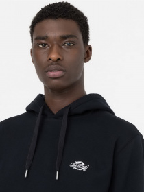 Худи и свитшоты Dickies Summerdale модель DK0A4Y6PBLK1 Фото