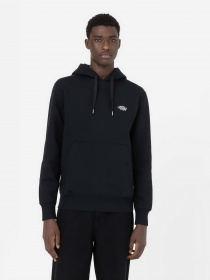 Худи и свитшоты Dickies Summerdale модель DK0A4Y6PBLK1 Фото