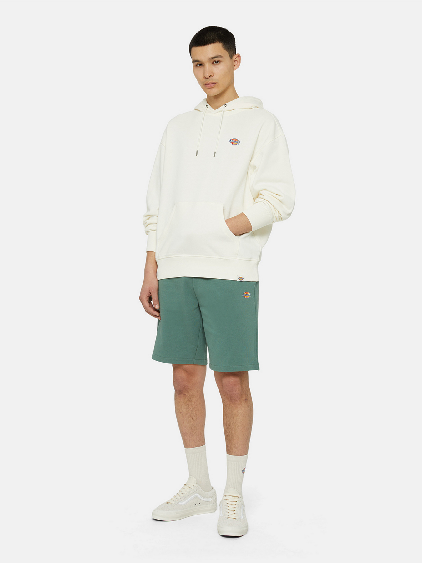 Шорти Dickies Mapleton модель DK0A4Y83H151 Фото