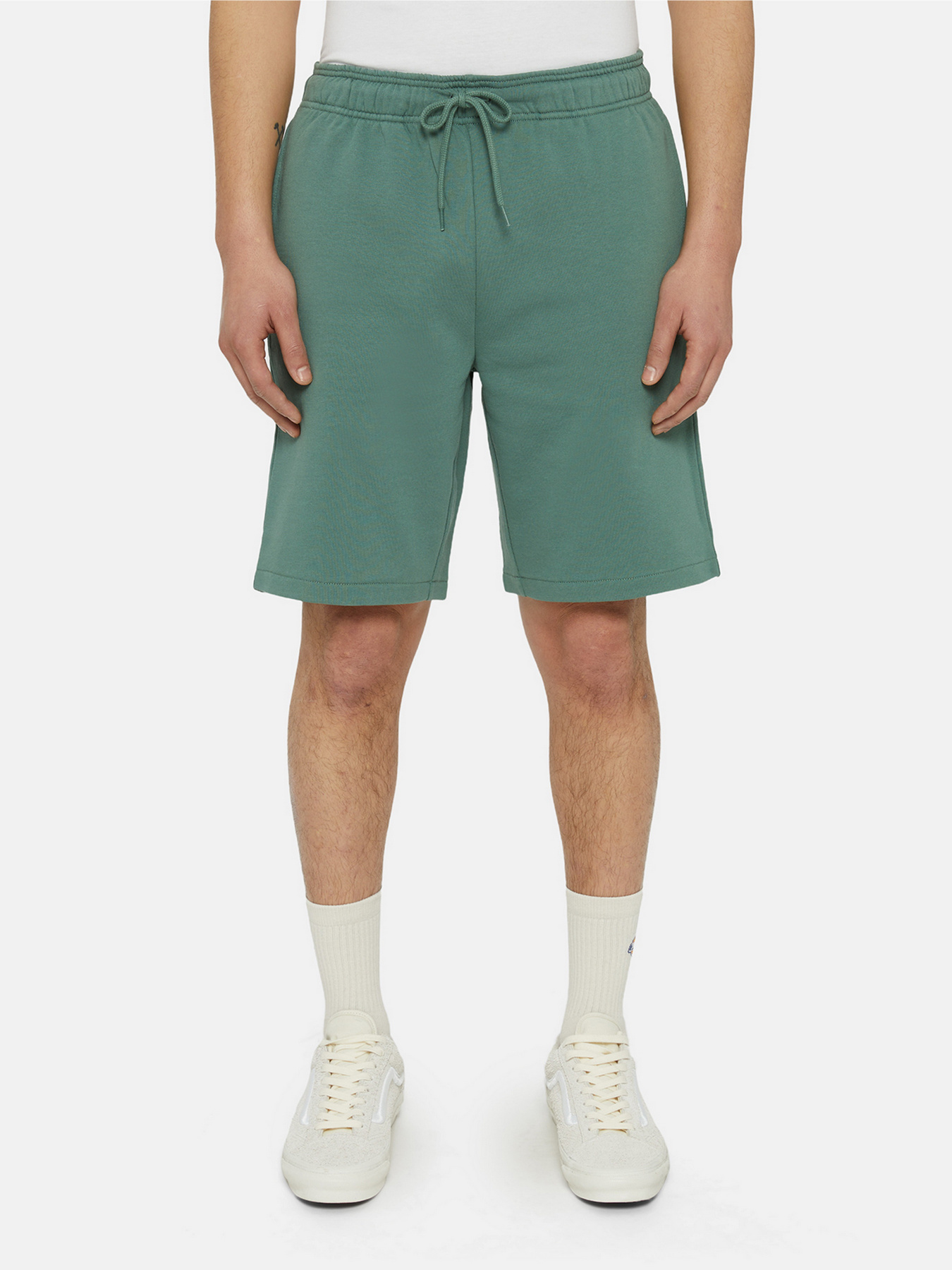 Шорти Dickies Mapleton модель DK0A4Y83H151 Фото