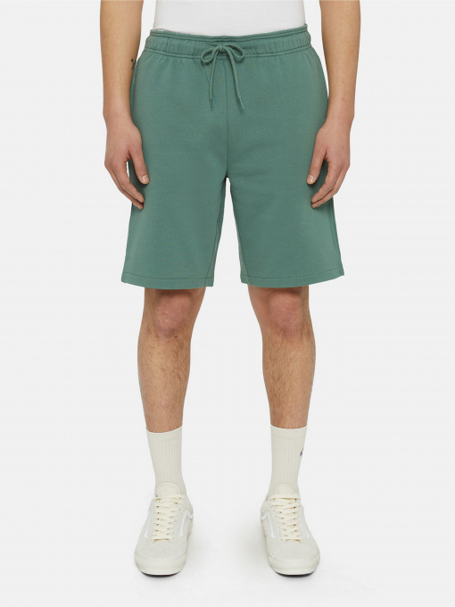 Шорти Dickies Mapleton модель DK0A4Y83H151 Фото