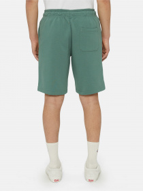 Шорти Dickies Mapleton модель DK0A4Y83H151 Фото