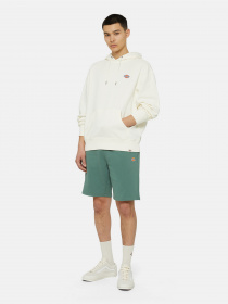 Шорти Dickies Mapleton модель DK0A4Y83H151 Фото